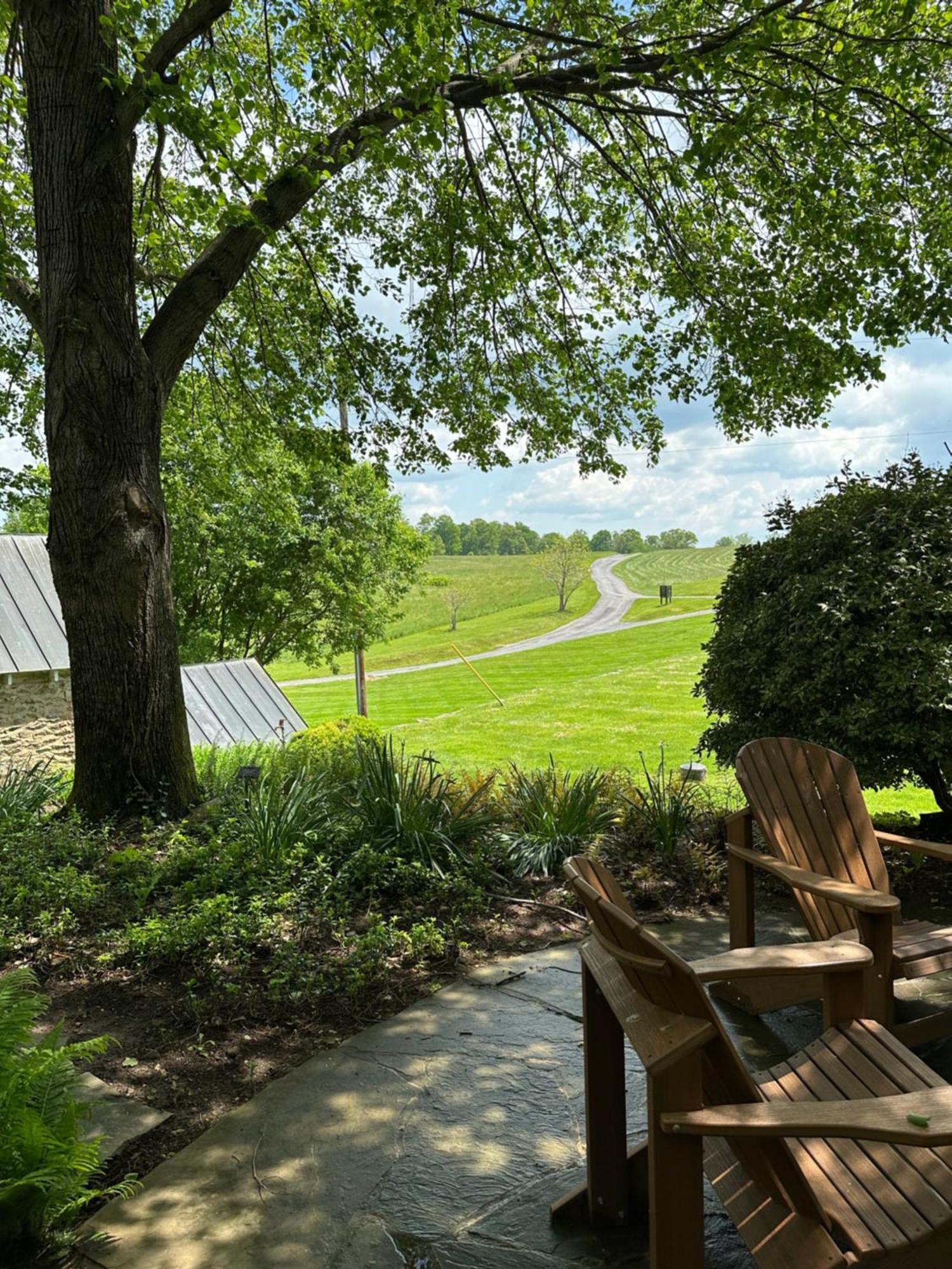 Goodstone Inn & Restaurant Middleburg Rom bilde